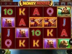 Money Moose